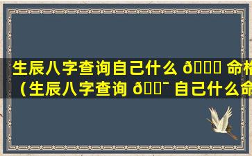 生辰八字查询自己什么 🐒 命格（生辰八字查询 🐯 自己什么命格好）